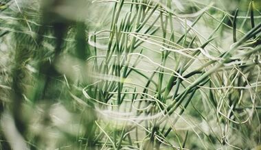 Cara membuat jimat bertuah dengan tangan anda sendiri