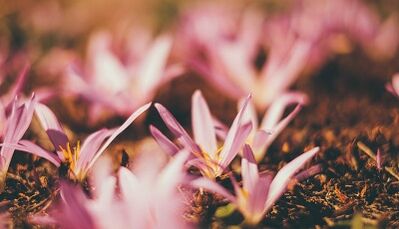 cara membuat jimat bertuah dengan tangan anda sendiri